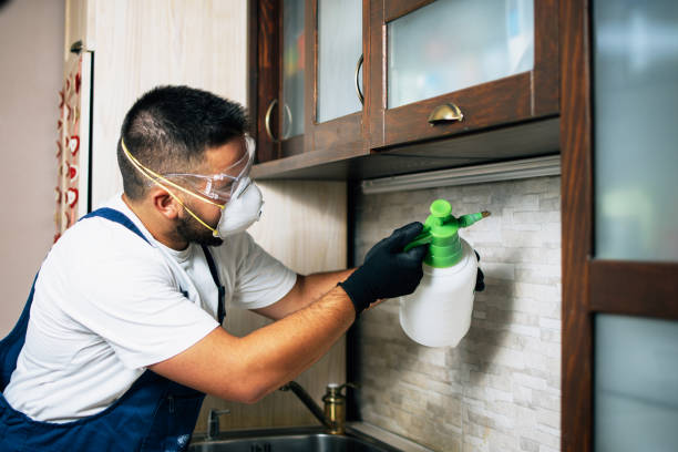 Best Pest Inspection Near Me  in St Helena, CA