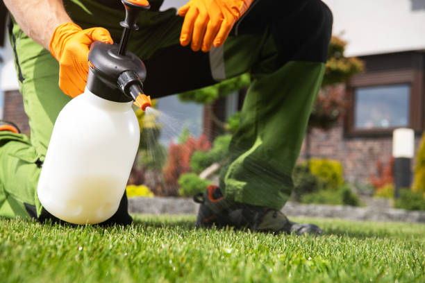 Best Best Pest Control Companies  in St Helena, CA