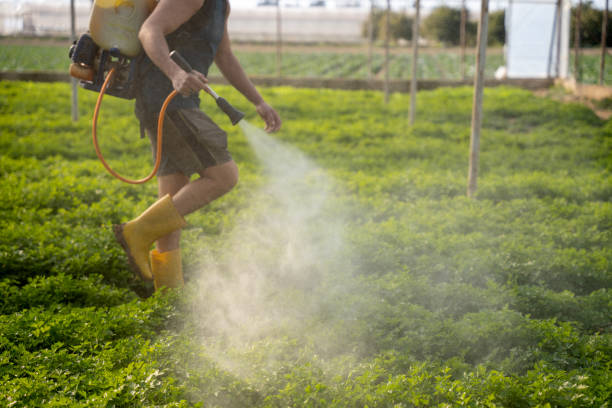  St Helena, CA Pest Control Pros