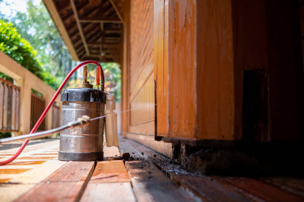 Best Emergency Pest Control  in St Helena, CA