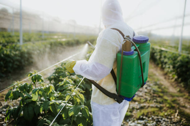 Best Cockroach Control Services  in St Helena, CA